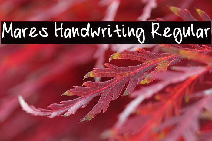 Mares Handwriting Regular Example 3