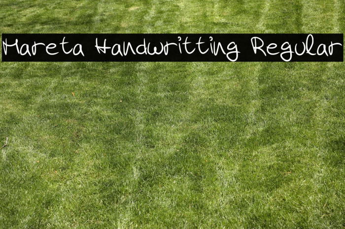 Mareta Handwritting Regular Example 1