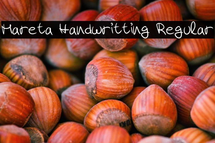Mareta Handwritting Regular Example 2