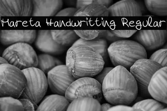 Mareta Handwritting Regular Example 2