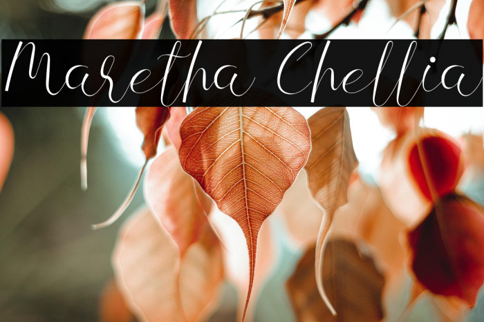 Maretha Chellia Example 1