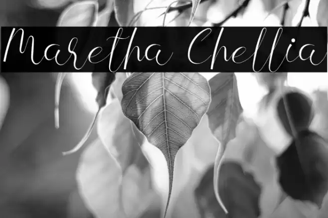 Maretha Chellia Font examples