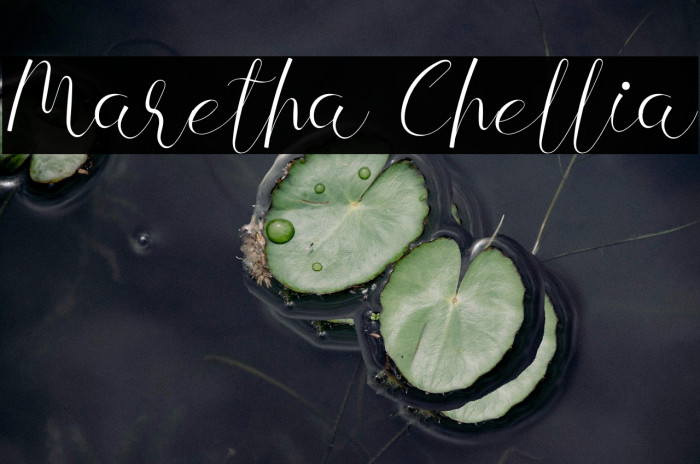 Maretha Chellia Example 2