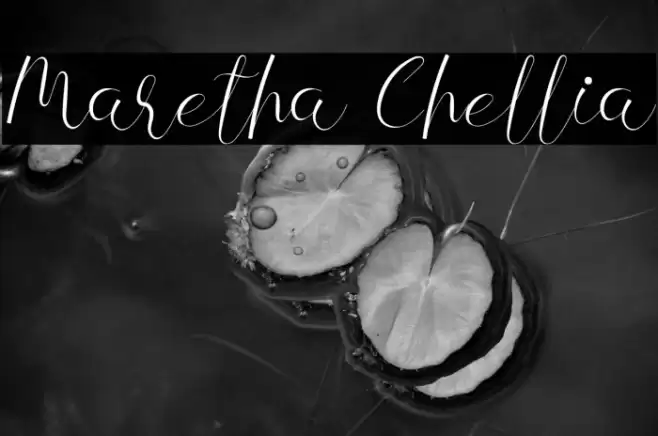 Maretha Chellia Font examples