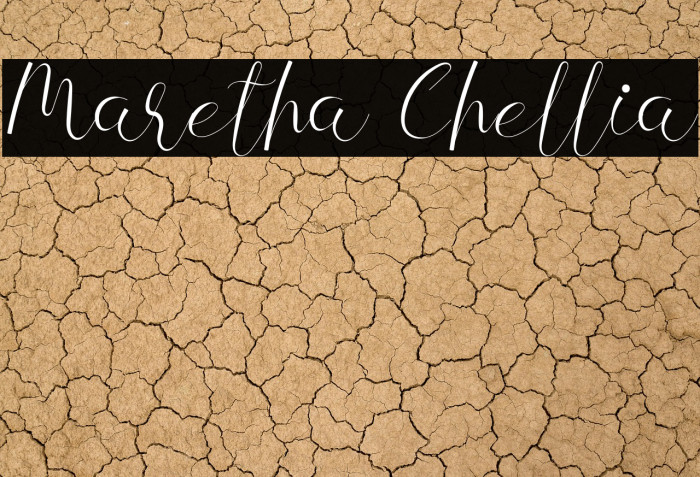 Maretha Chellia Example 3