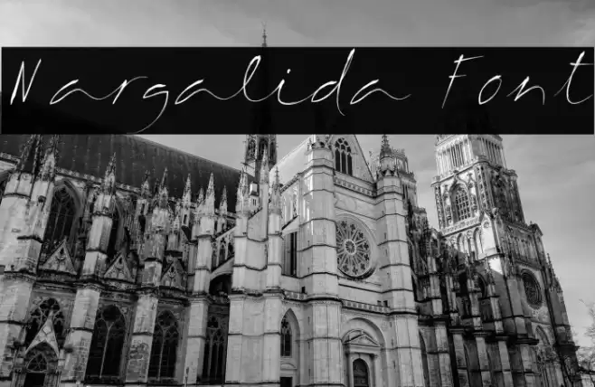 Margalida Font Font examples