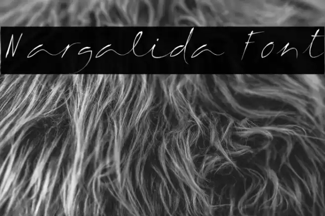 Margalida Font Font examples