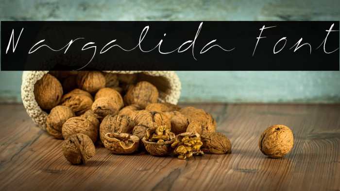 Margalida Font Example 3