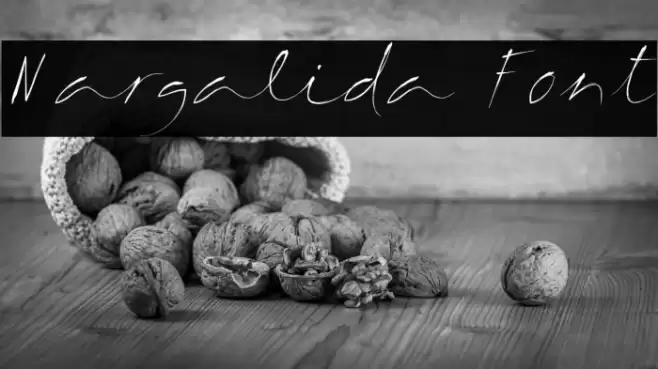 Margalida Font Font examples