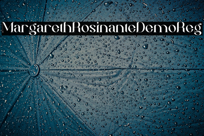 MargarethRosinanteDemo-Reg Example 1