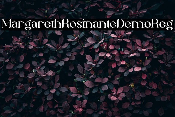 MargarethRosinanteDemo-Reg Example 3