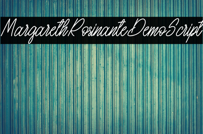 MargarethRosinanteDemo-Script Example 1