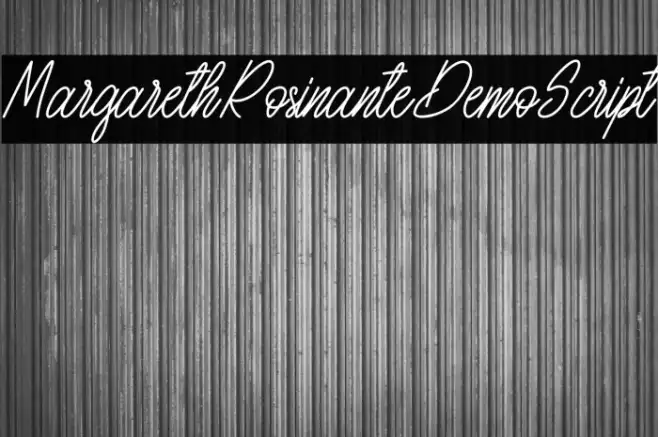 MargarethRosinanteDemo-Script Example 1