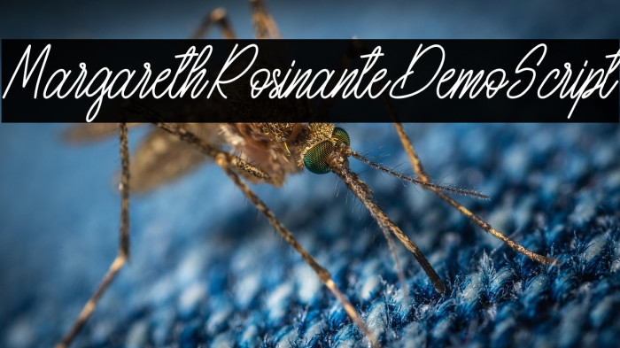 MargarethRosinanteDemo-Script Example 2