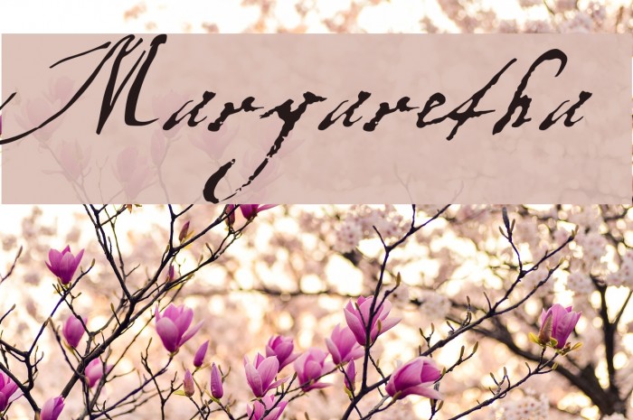 Margaretha Font examples