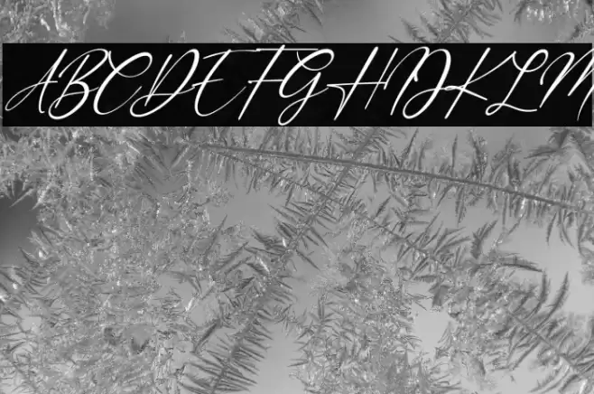 Margarett Italic Font examples