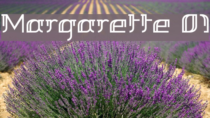Margarette 01 Font examples