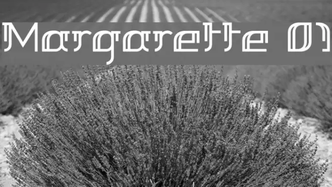 Margarette 01 Example 2