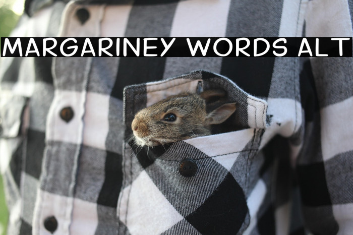 Margariney Words Alt Example 2