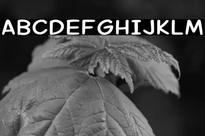 Margariney Words Bold Alt Font examples