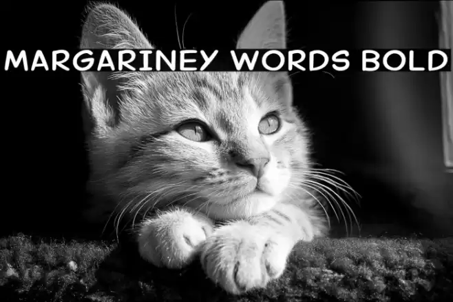 Margariney Words Bold Font examples