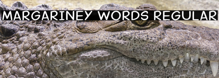 Margariney Words Regular Example 3