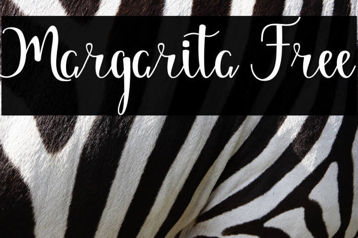 Margarita Free Example 3