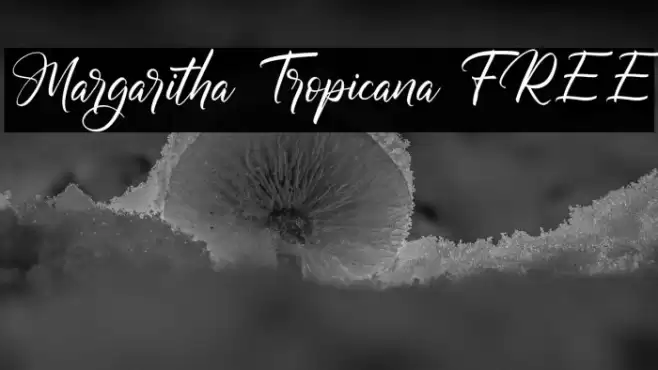Margaritha Tropicana FREE Font examples