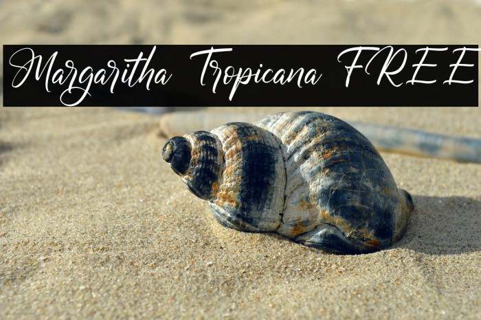 Margaritha Tropicana FREE Example 2