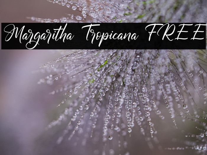 Margaritha Tropicana FREE Example 3