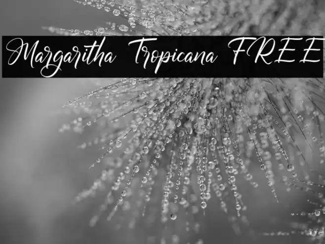 Margaritha Tropicana FREE Font examples
