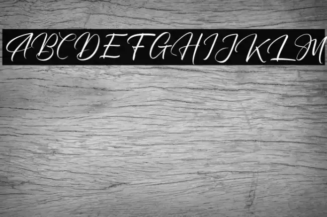 MargarithaTropicanaFREE Font examples