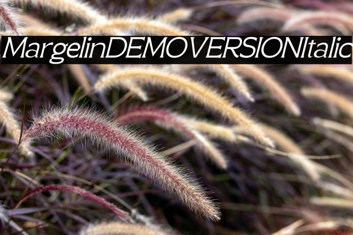 Margelin DEMO VERSION Italic Example 2