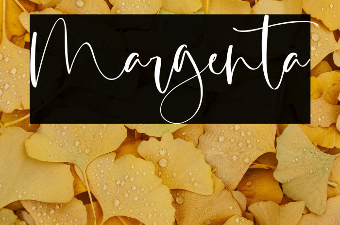 Margenta Example 2