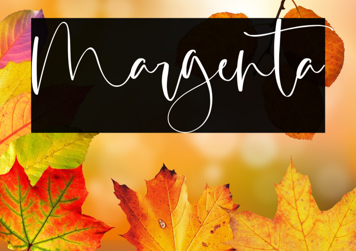 Margenta Example 3