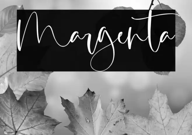 Margenta Example 3