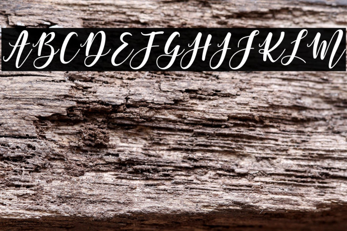 MargettaFreeVersion Example 1