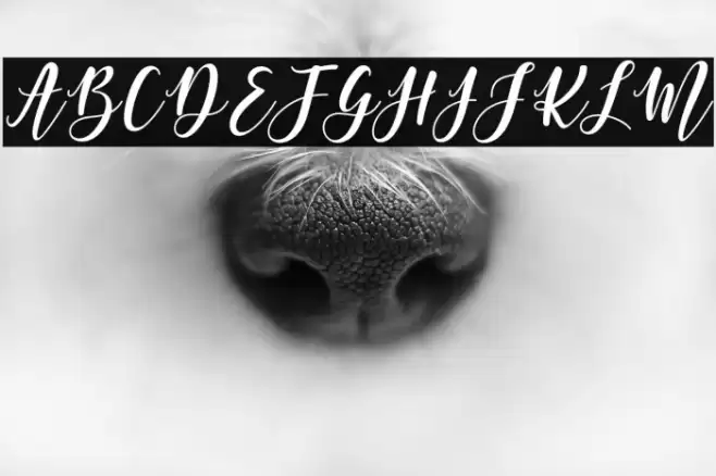 MargettaFreeVersion Font examples