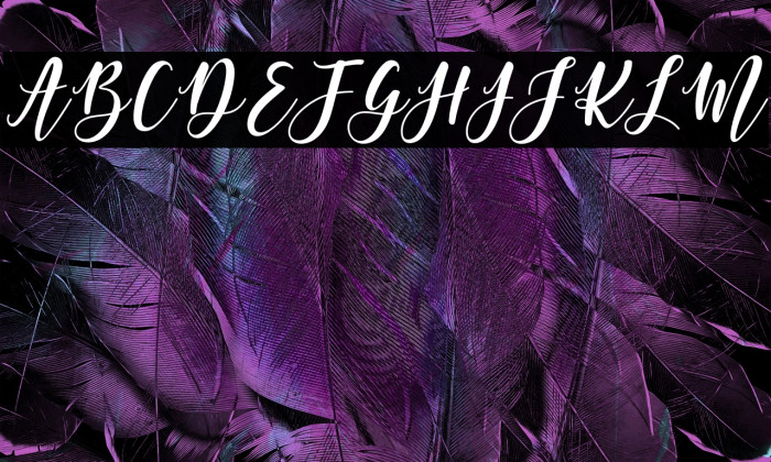 MargettaFreeVersion Example 3