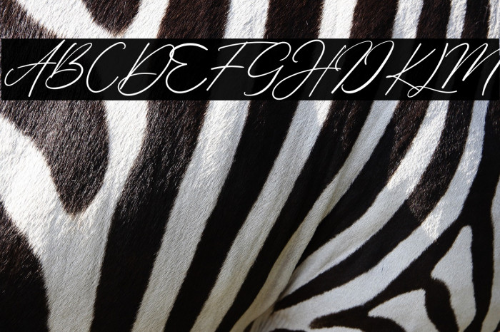 Margharita Example 1