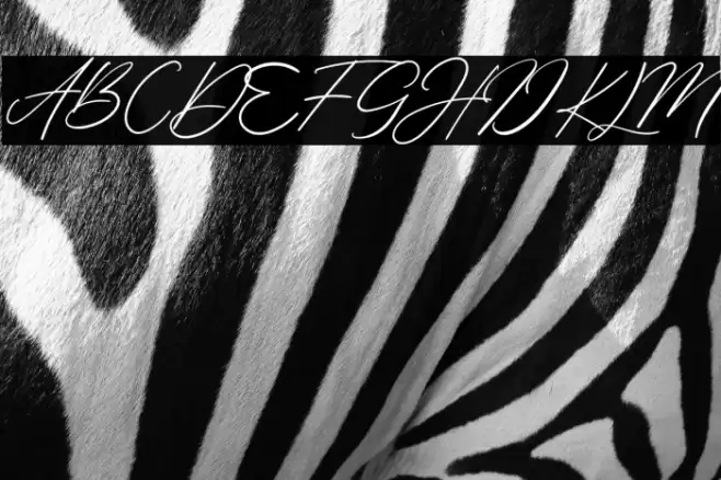 Margharita Font examples