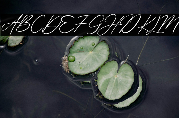 Margharita Example 2