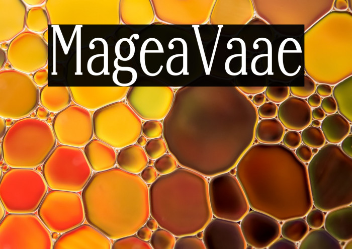 Margherita Variable Example 1