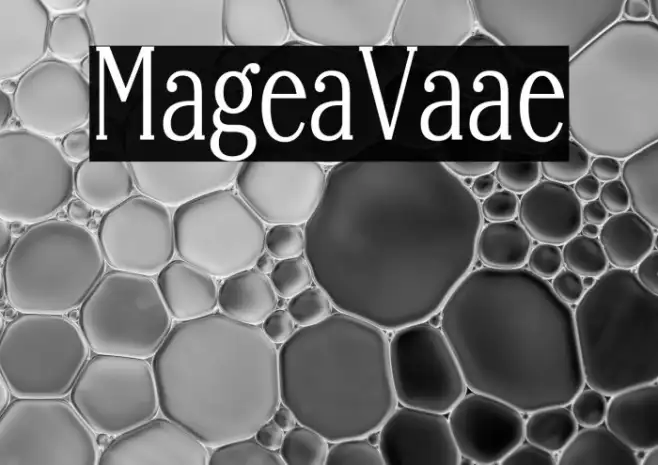 Margherita Variable Example 1