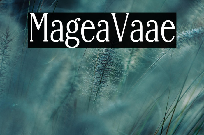 Margherita Variable Example 2