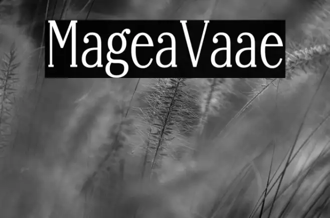 Margherita Variable Example 2