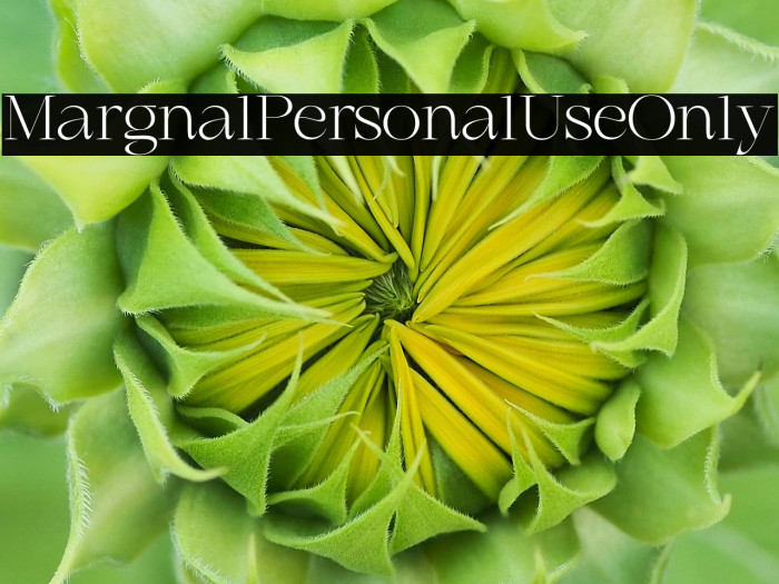 Marginal Personal Use Only Example 2