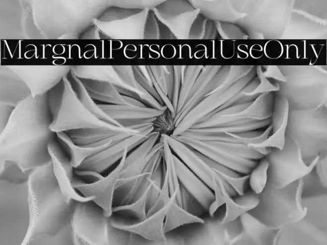 Marginal Personal Use Only Example 2