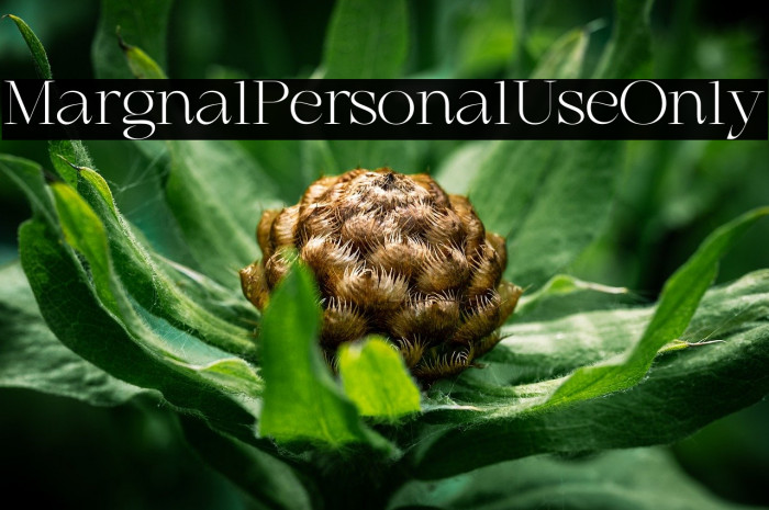 Marginal Personal Use Only Example 3