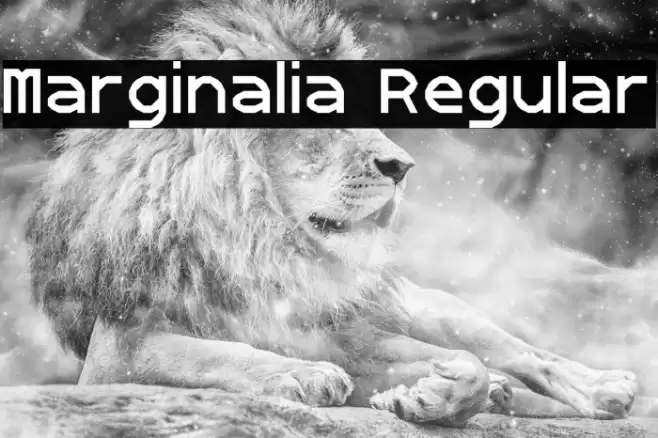 Marginalia Regular Font examples